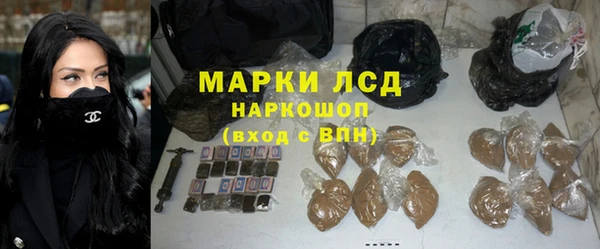 индика Нягань