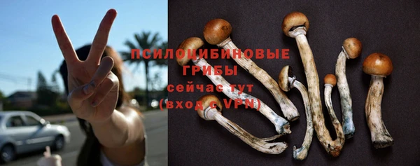 индика Нягань