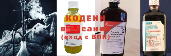 индика Нягань