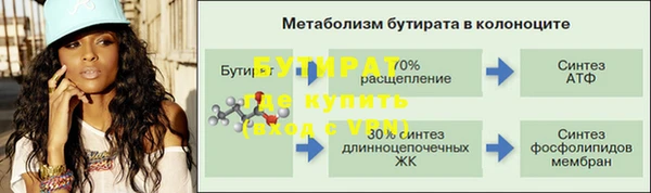 индика Нягань