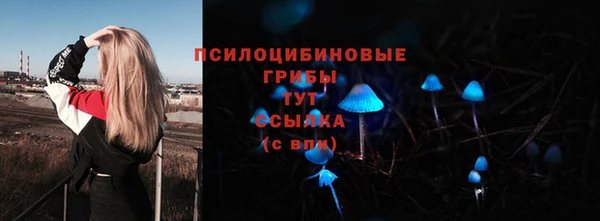 молекула духа Барнаул