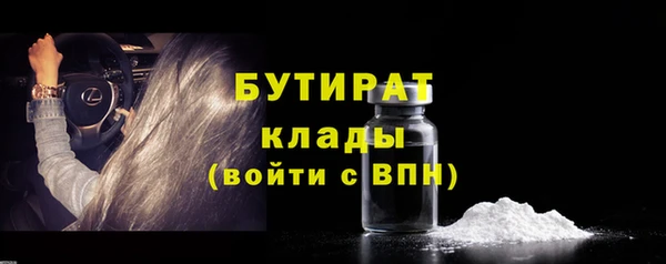 индика Нягань