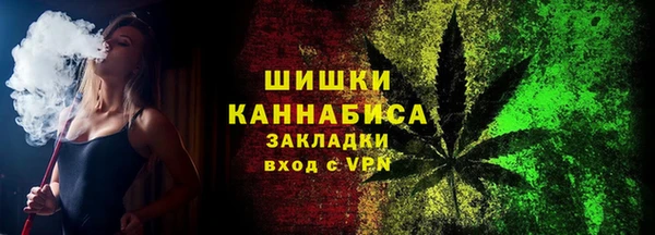 индика Нягань