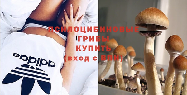 индика Нягань