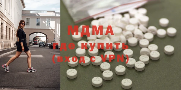 индика Нягань