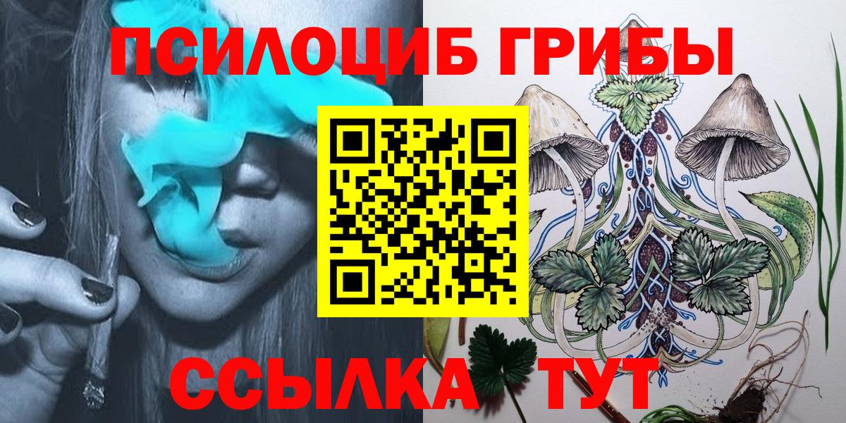 Галлюциногенные грибы Psilocybine cubensis  Вход с VPN  Павловский Посад 