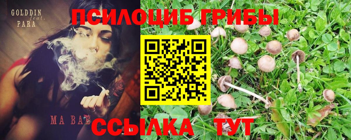 Псилоцибиновые грибы GOLDEN TEACHER Павловский Посад