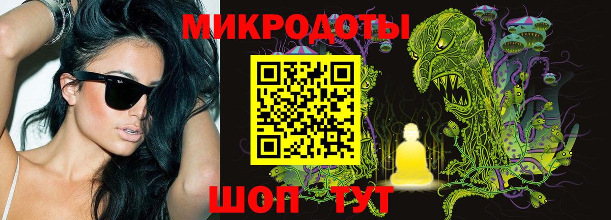 Псилоцибиновые грибы Cubensis  Павловский Посад  Псилоцибиновые грибы прущие грибы 